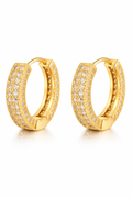 double line earrings